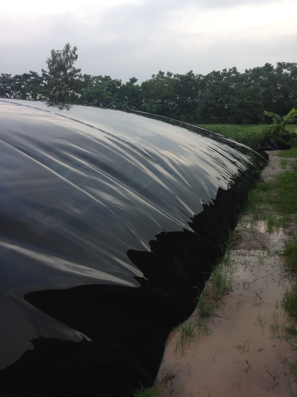 Hầm Biogas HDPE