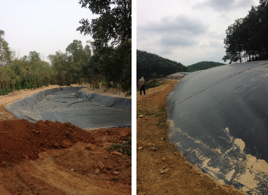 hầm biogas phủ bạt nhựa hdpe