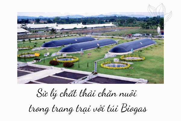 cách làm túi biogas 